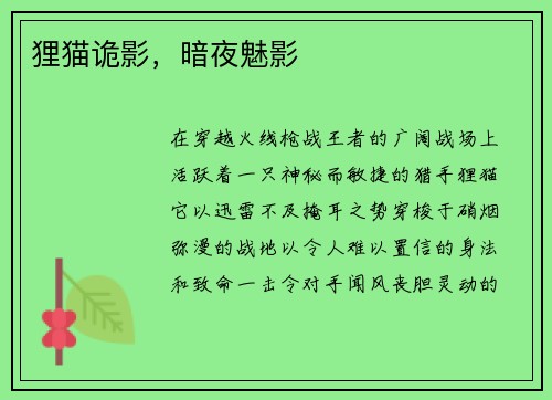 狸猫诡影，暗夜魅影